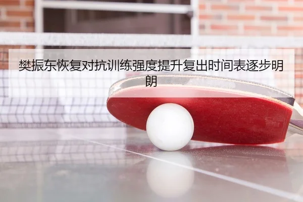 樊振东恢复对抗训练强度提升复出时间表逐步明朗